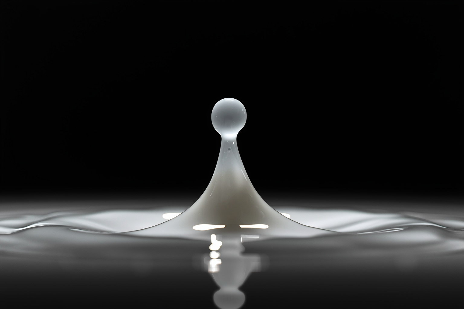 The Snapshot, Not The Blur