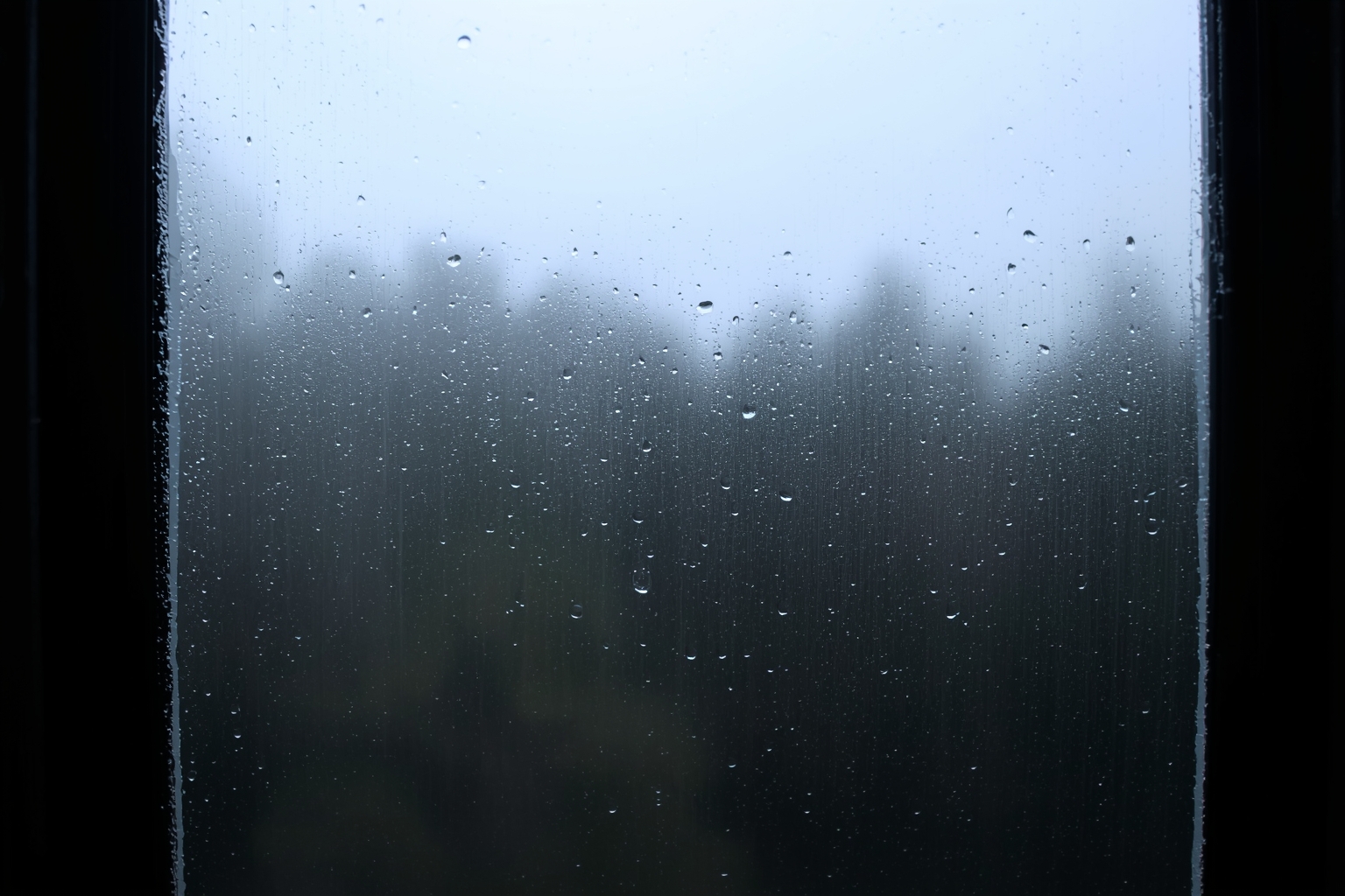 The Edge of the Window